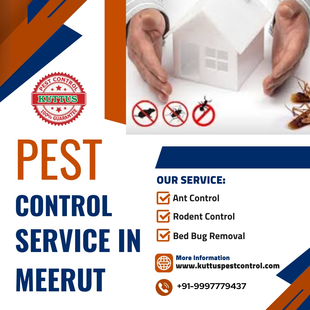 reliable-pest-control-service-in-meerut